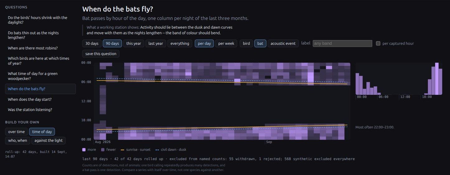 The bat analytics page, with a purple heatmap of detected bat passes by date and hour, sunrise and sunset lines, and an hourly activity chart peaking around 10–11pm.